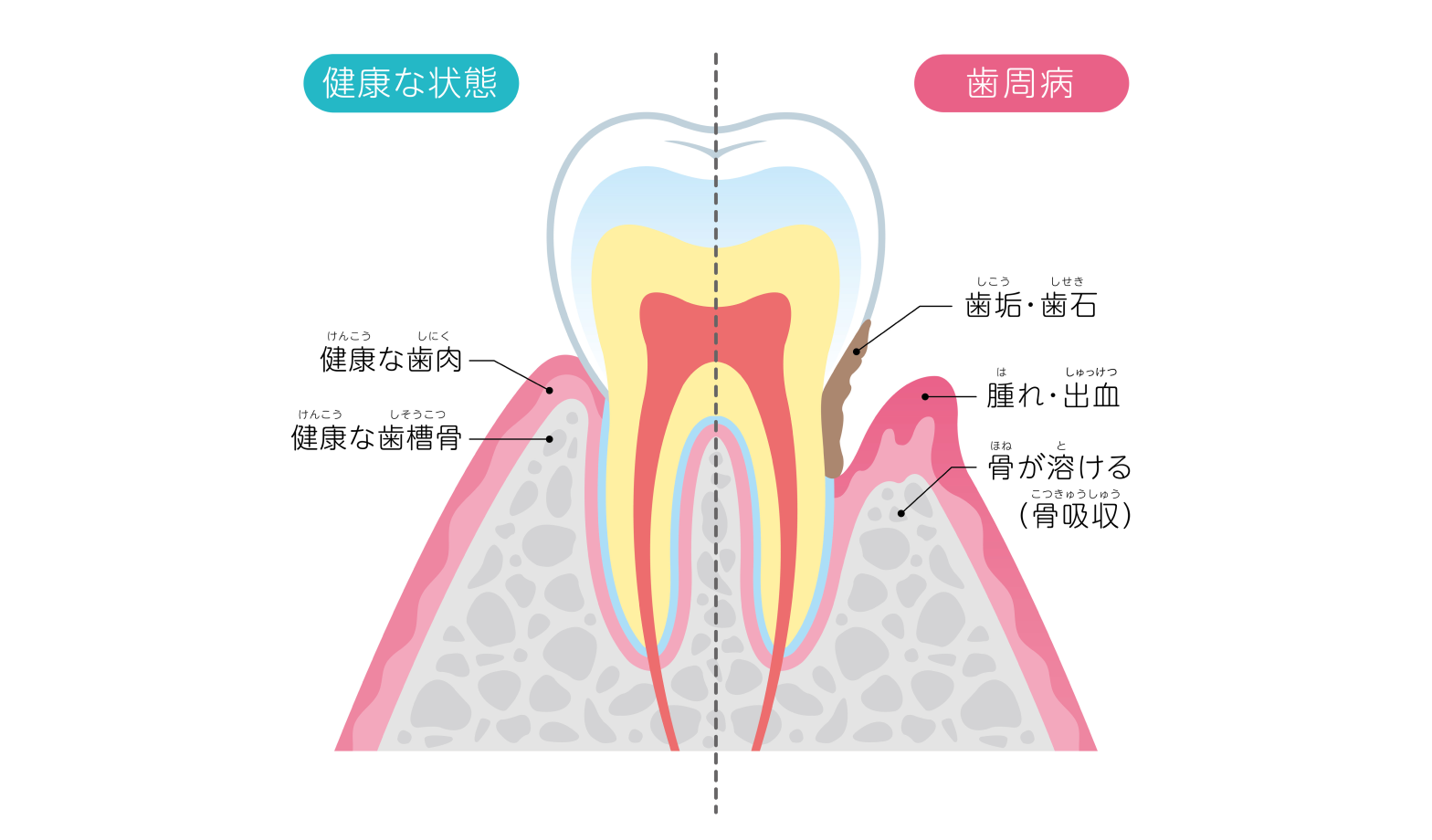 多様な経験を患者様に還元します